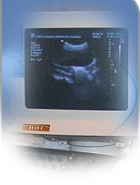 Breast Ultrasound